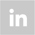 icone linkdin