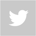 icone twitter